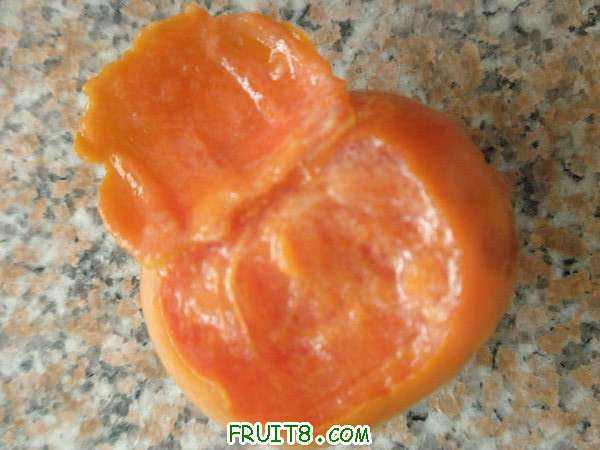 PA017928.JPG