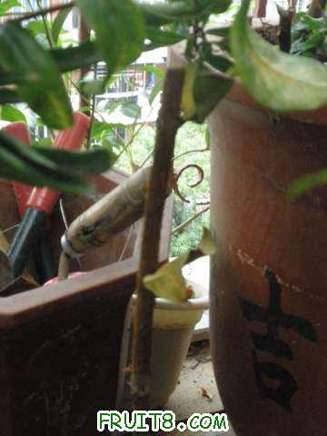 PA017801.JPG