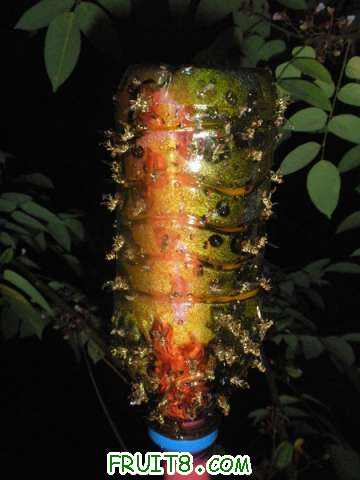 PA028314.JPG