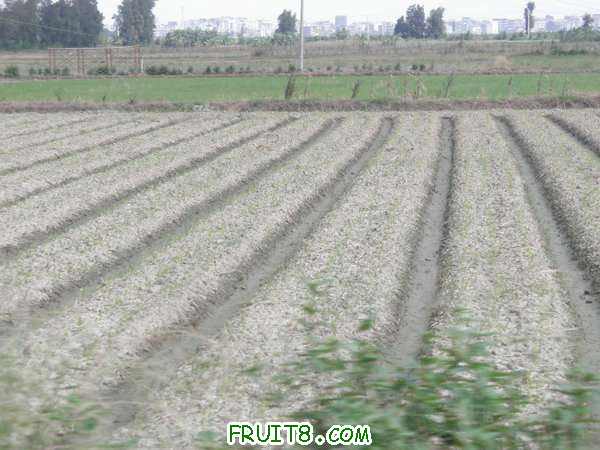 PA028144.JPG