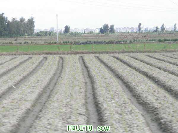 PA028145.JPG