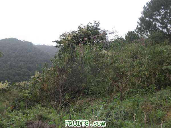 PA038401.JPG