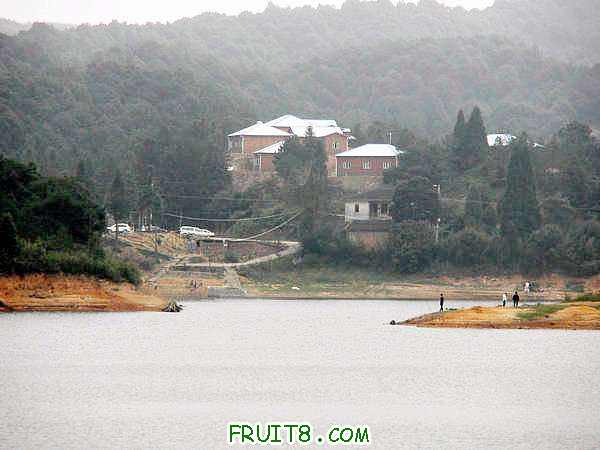 PA038476.JPG