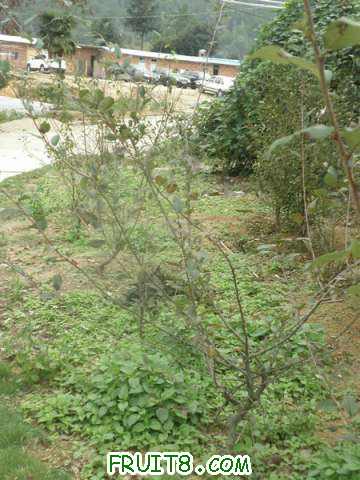 PA038527.JPG