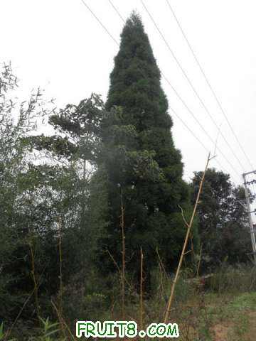 PA038534.JPG