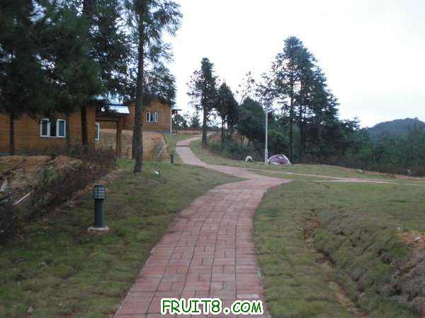 PA038574.JPG