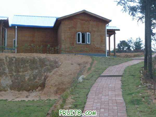 PA038577.JPG