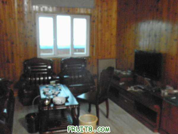 PA038586.JPG