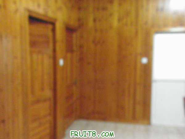 PA038614.JPG