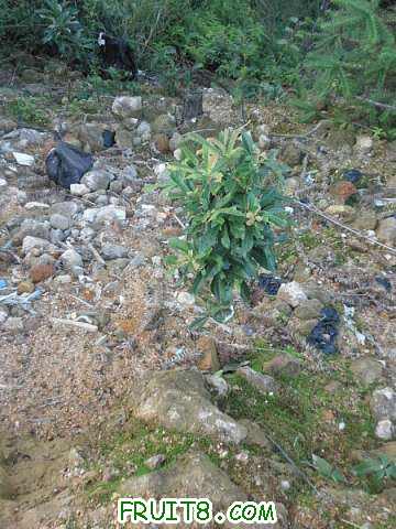 PA048681.JPG