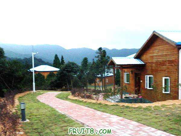 PA038620.JPG