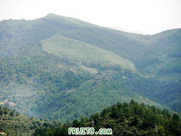 PA048954.JPG