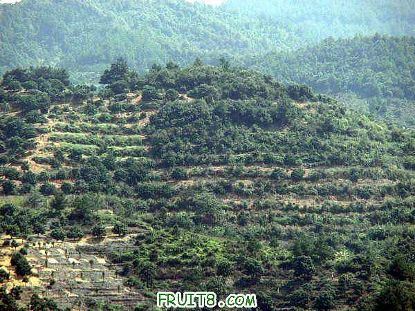 PA049018.JPG
