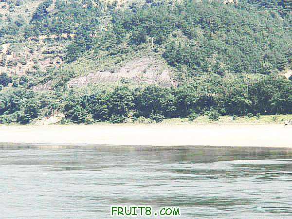 PA048956.JPG