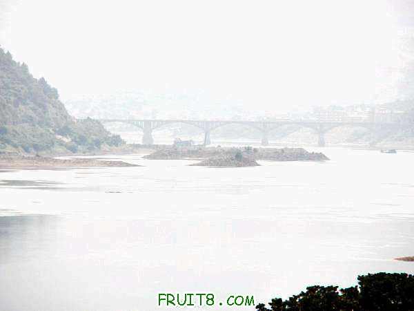 PA048946.JPG