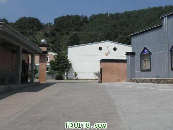 PA048817.JPG