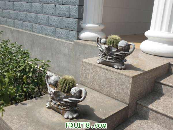 PA048769.JPG