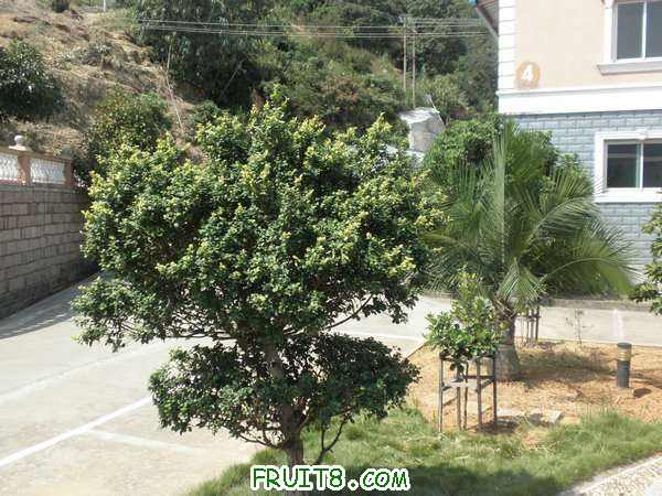 PA048774.JPG