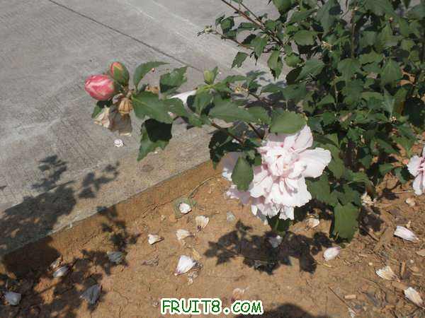 PA048808.JPG