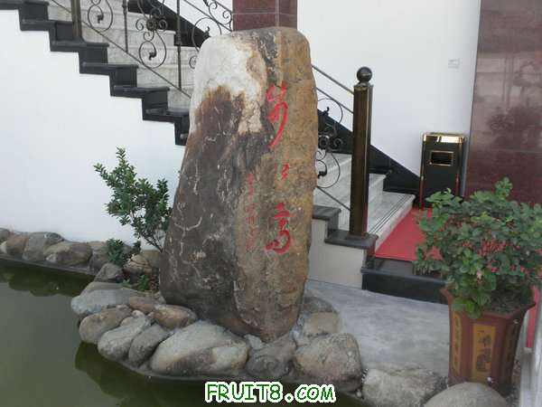 PA048901.JPG