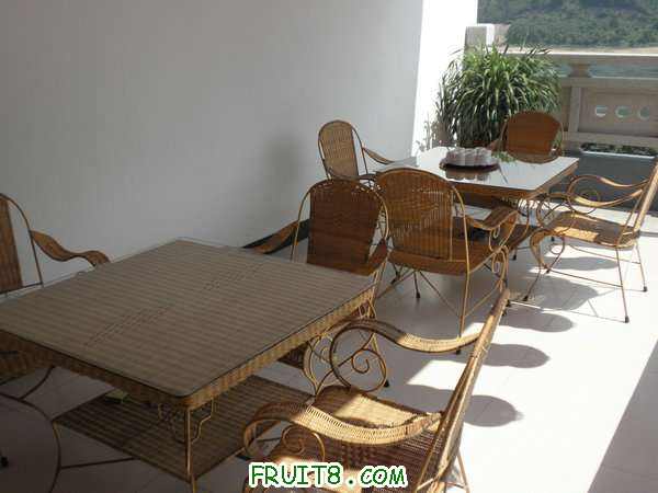 PA048971.JPG