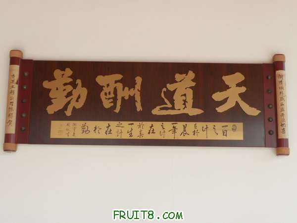 PA048973.JPG