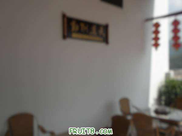 PA048972.JPG