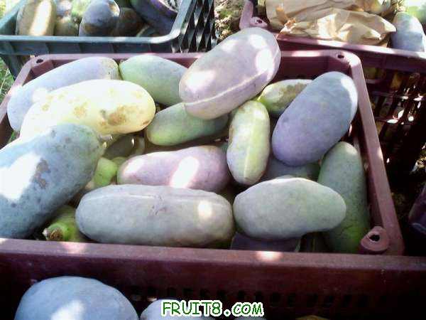 IMG2709A ().jpg