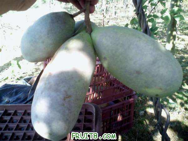IMG2710A ().jpg