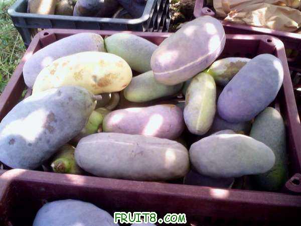 IMG2708A ().jpg