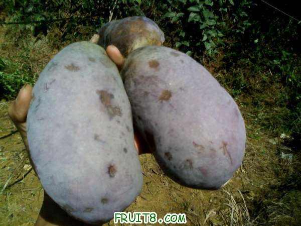 IMG2707A ().jpg