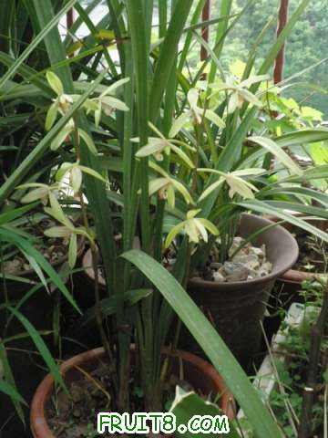 PA049161.JPG