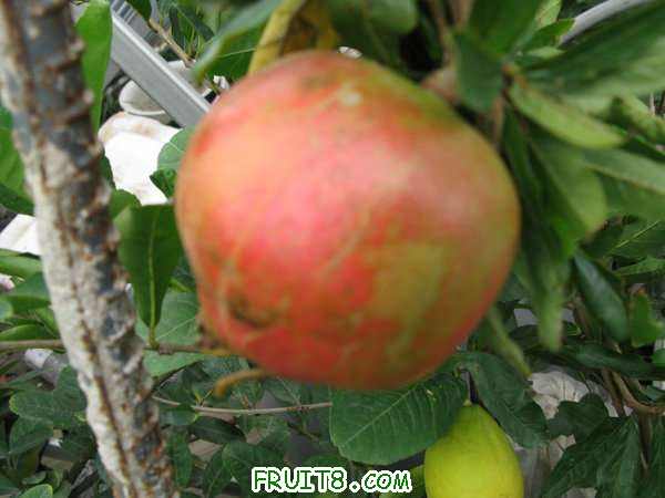 IMG_5197.JPG