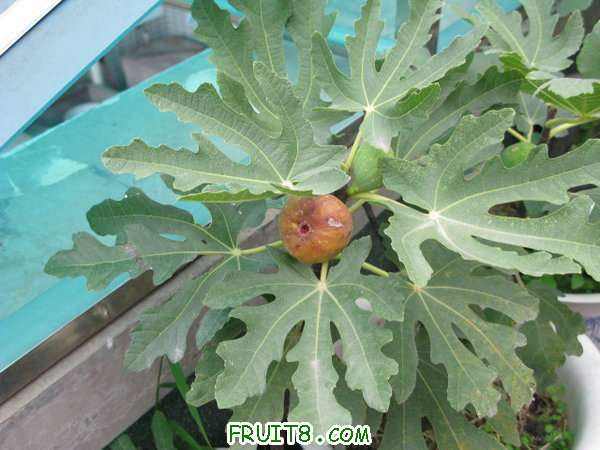 IMG_5136.JPG