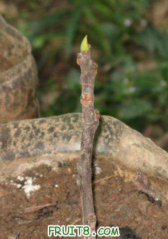 �Ϲ�20101008-1.JPG
