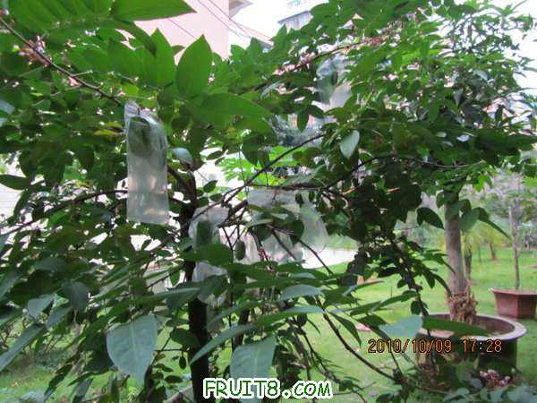 IMG_0123.JPG