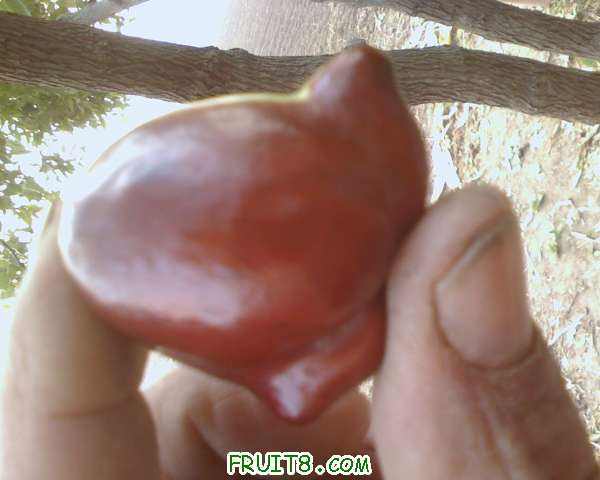 IMG1006071600.jpg