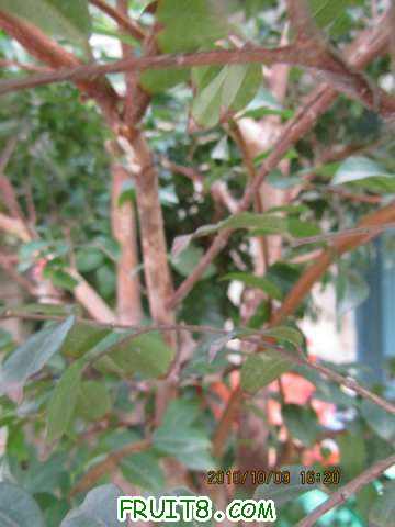 IMG_0090.JPG