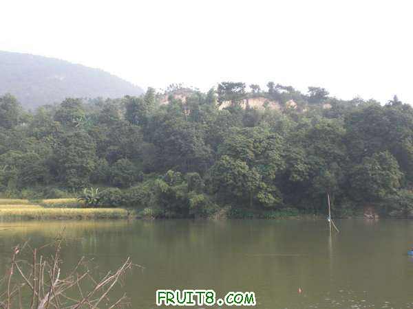 PA069331.JPG