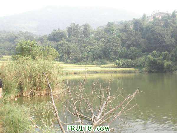 PA069330.JPG