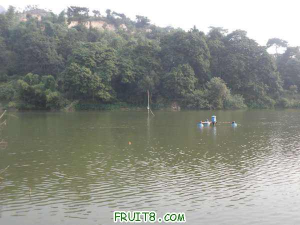 PA069327.JPG
