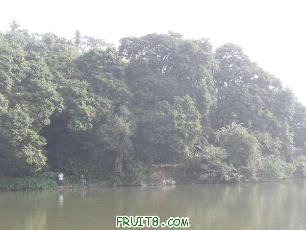 PA069350.JPG