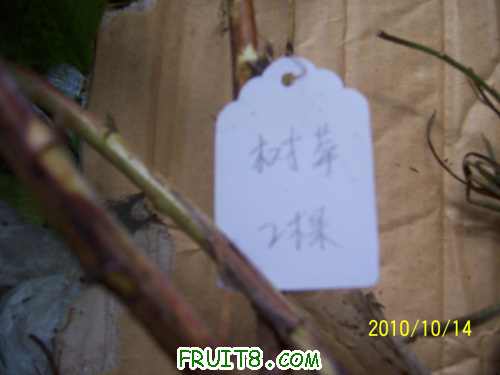 100_2316.jpg