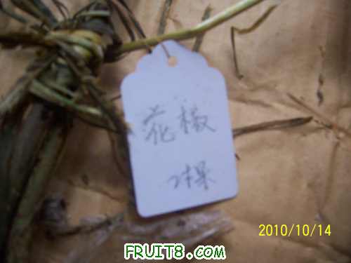 100_2315.jpg