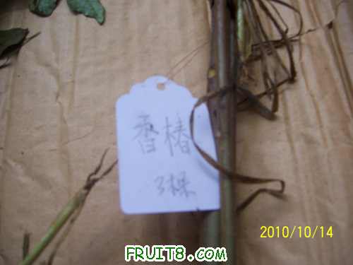100_2314.jpg