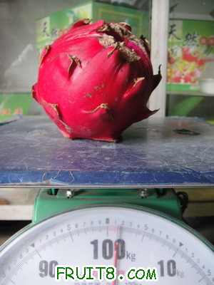 DSC05937_СС.JPG