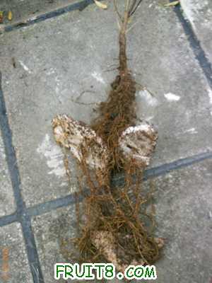 YP0295.jpg