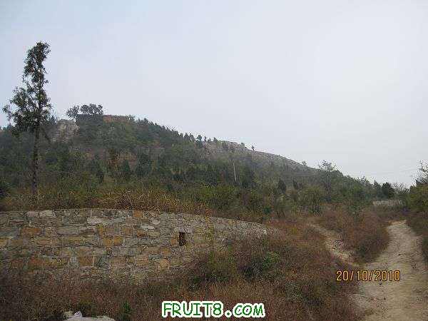 IMG_2318.JPG