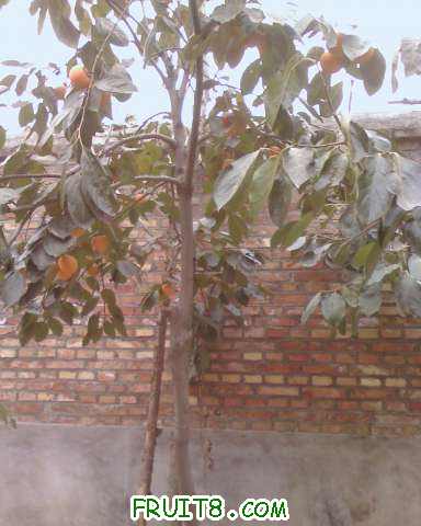 IMG1019134402.jpg