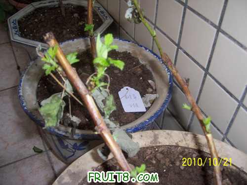 100_2326.jpg